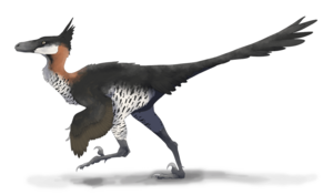 Archivo:Saurornithoides restoration