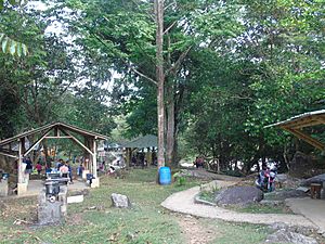 Archivo:Sendero Ecológico El Balseadero San Luis Antioquia