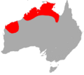 Sharp-Nosed Tomb Bat area