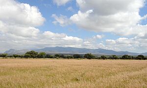 Archivo:Sierra del Cubo, San Felipe, Guanajuato - Vista desde La Quemada (campo)