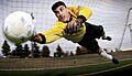 Soccer goalkeeper