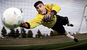 Archivo:Soccer goalkeeper