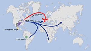 Archivo:Suggested paths of migration and diversification of P. infestans lineages HERB-1 and US-1