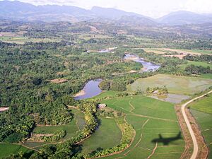 Archivo:Tarapoto P6260053mod