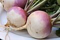 Turnip 2622027