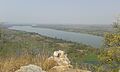 Vainganga river21