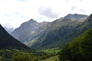 Archivo:Valle del Río Nere