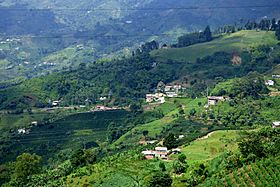 Archivo:Vista de Dosquebradas y Pereira desde el alto del Boquerón - Flickr - Alejandro Bayer (1)