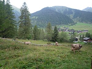 Archivo:20100823 198 Reckingen