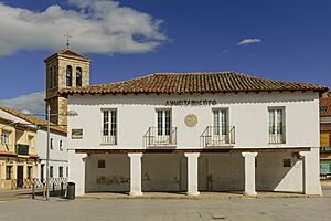Archivo:20250417 CAMARMA DE ESTERUELAS (3)-1