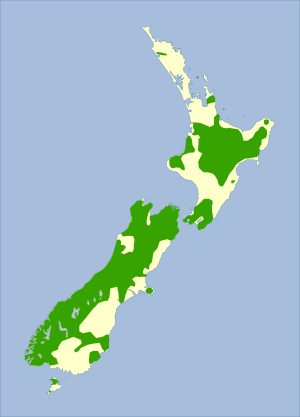 Archivo:Acanthisitta chloris - distribution map
