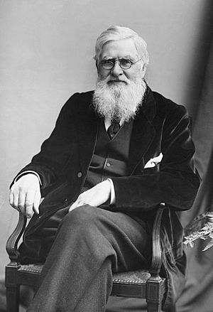 Archivo:Alfred-Russel-Wallace-c1895