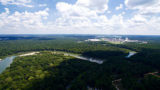 Altamaha and Rayonier.jpg