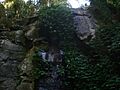BunyaMtns-Festoonfalls