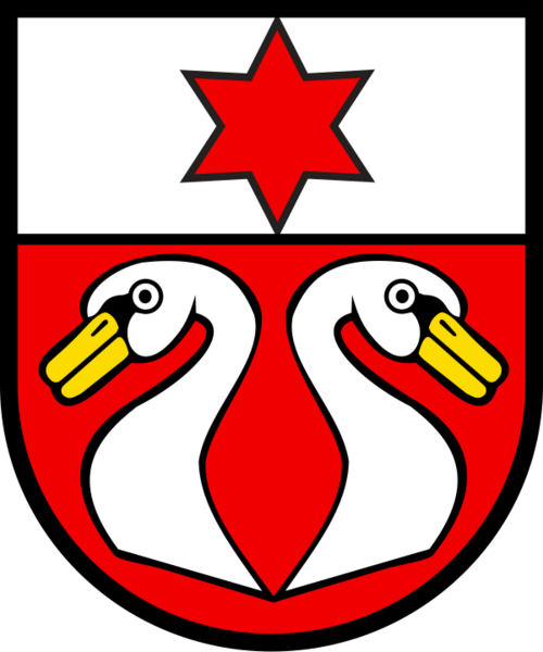 CHE Niederhünigen COA