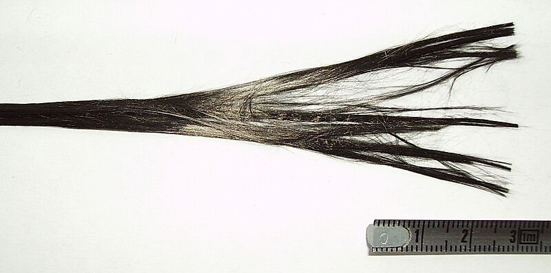 Carbon fiber