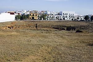 Archivo:Carmona-Necrópolis Romana-Excavación del teatro-20110916