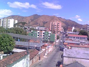 Archivo:Casco Historico de San Juan de los Morros