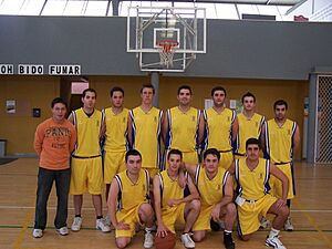 Archivo:Castalla20072008