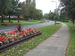 Central Avenue Newton Aycliffe - geograph.org.uk - 1493190.jpg