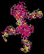 Archivo:DICER