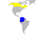 Dendroica striata map