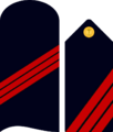 Divipalaarmadaes 04