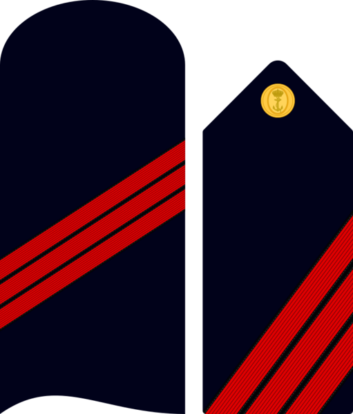 Divipalaarmadaes 04