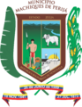 Escudo Machiques de perija