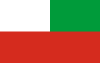 Flag of Caazapá Department.svg