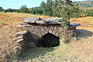 Archivo:Fuente de carácter histórico en Lucillo