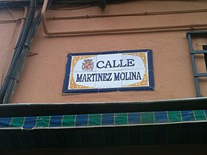 Archivo:Jaén-Calle de Rafael Martínez Molina