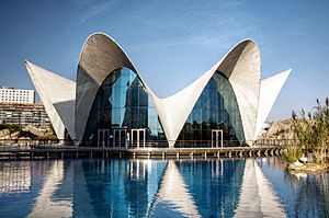 Archivo:L'Oceanografic (Valencia, Spain) 01