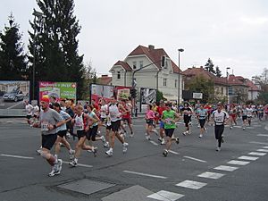 Archivo:Ljubljana marathon