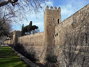 Archivo:Muralla Raval