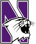 Northwestern wildcats CMKY 80 100 0 0.svg