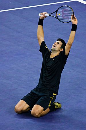 Archivo:Novak Djokovic during the 2008 Tennis Masters Cup final3