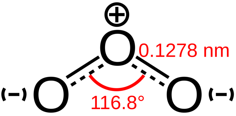 Ozone-1,3-dipole