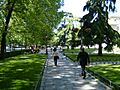 Paseo del Prado (Madrid) 01