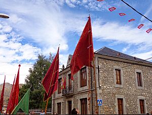 Archivo:PendonesLillo2013VIII.