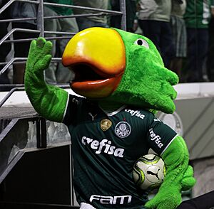 Archivo:Periquito-Palmeiras-jul-2022 (cropped)