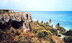 Playa Pajaros, Mona, Puerto Rico.jpg
