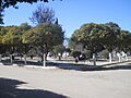 Plaza CdLR