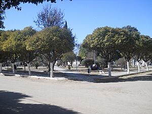 Archivo:Plaza CdLR
