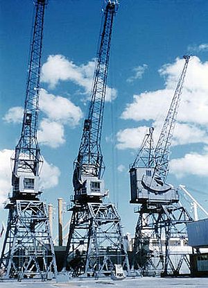 Archivo:Ports of Auckland Jellicoe Cranes