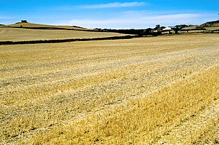 Puebla de Eca (2001).jpg