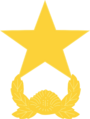 ROK army Junjang