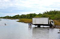 Archivo:Rio Viejo La Mojarra