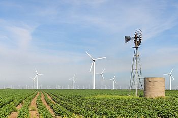 Archivo:Roscoe Wind Farm in West Texas