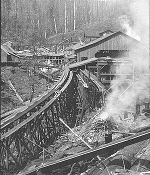 Archivo:Sawmill 19th century